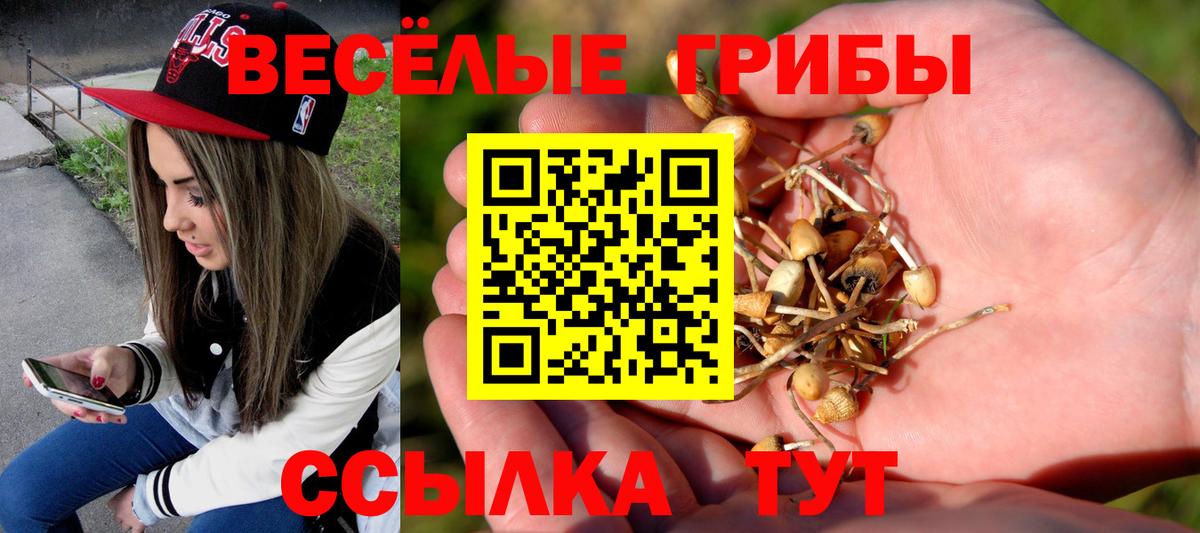 Тимашёвск  Псилоцибиновые грибы Cubensis  Вход с VPN 